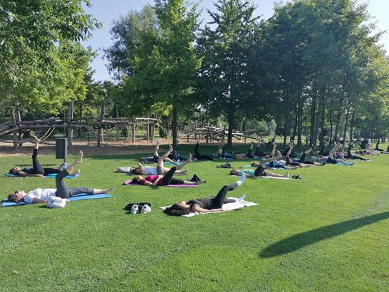 IMG 20250617 092302 IMG 20250617 092302